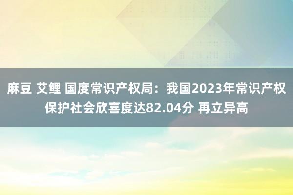 麻豆 艾鲤 国度常识产权局：我国2023年常识产权保护社会欣喜度达82.04分 再立异高