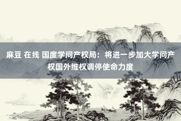 麻豆 在线 国度学问产权局：将进一步加大学问产权国外维权调停使命力度