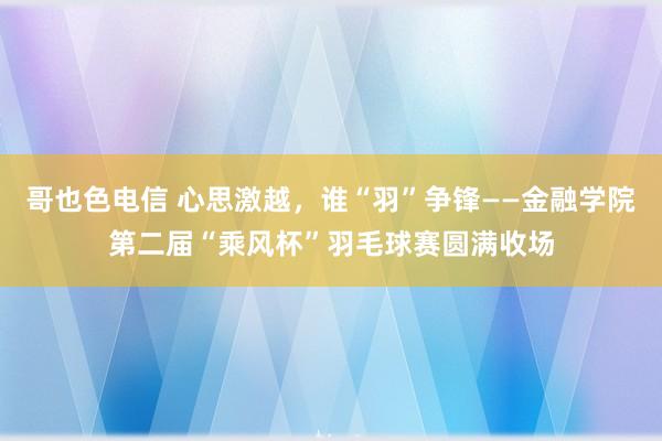 哥也色电信 心思激越，谁“羽”争锋——金融学院第二届“乘风杯”羽毛球赛圆满收场