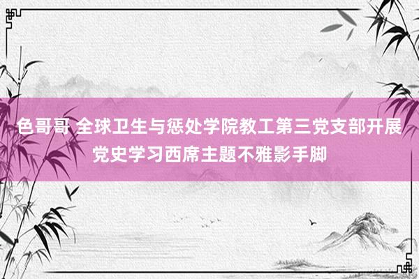 色哥哥 全球卫生与惩处学院教工第三党支部开展党史学习西席主题不雅影手脚